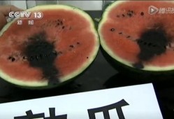 52吃瓜爆料免费吃瓜视频